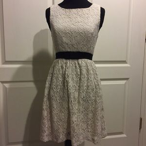 Cream Lace Dress w/ Black Belted Detail